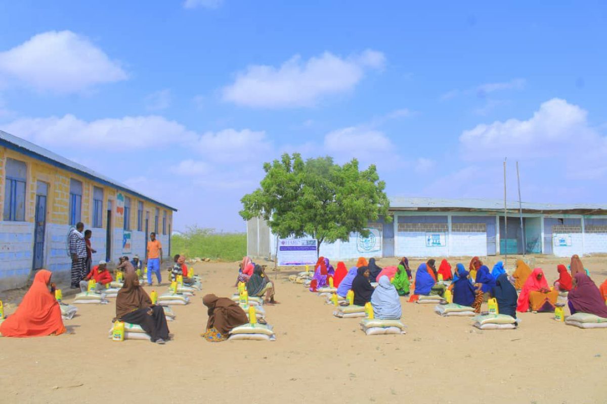 photo_11_2025-01-04_11-11-40