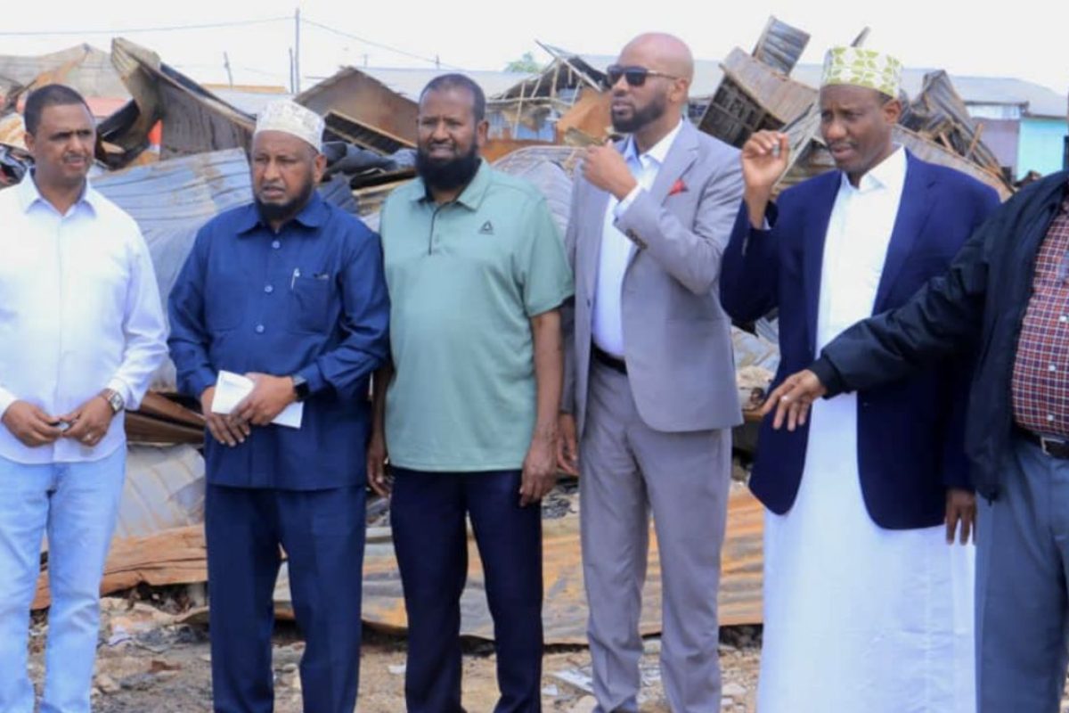 photo_2024-12-12_08-54-48