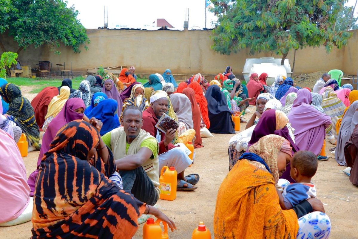 photo_2024-12-12_08-55-29