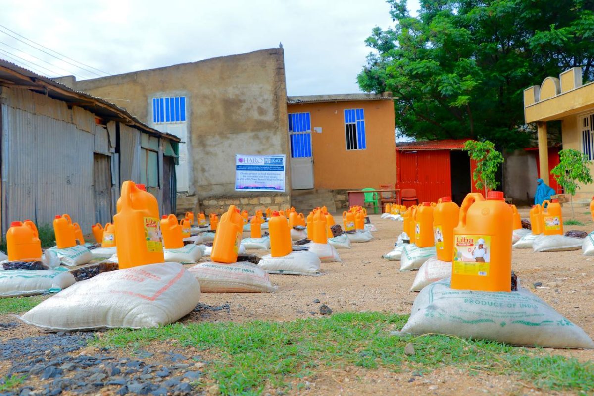 photo_2024-12-12_08-57-06