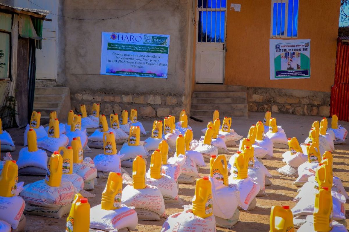 photo_2024-12-16_07-42-49