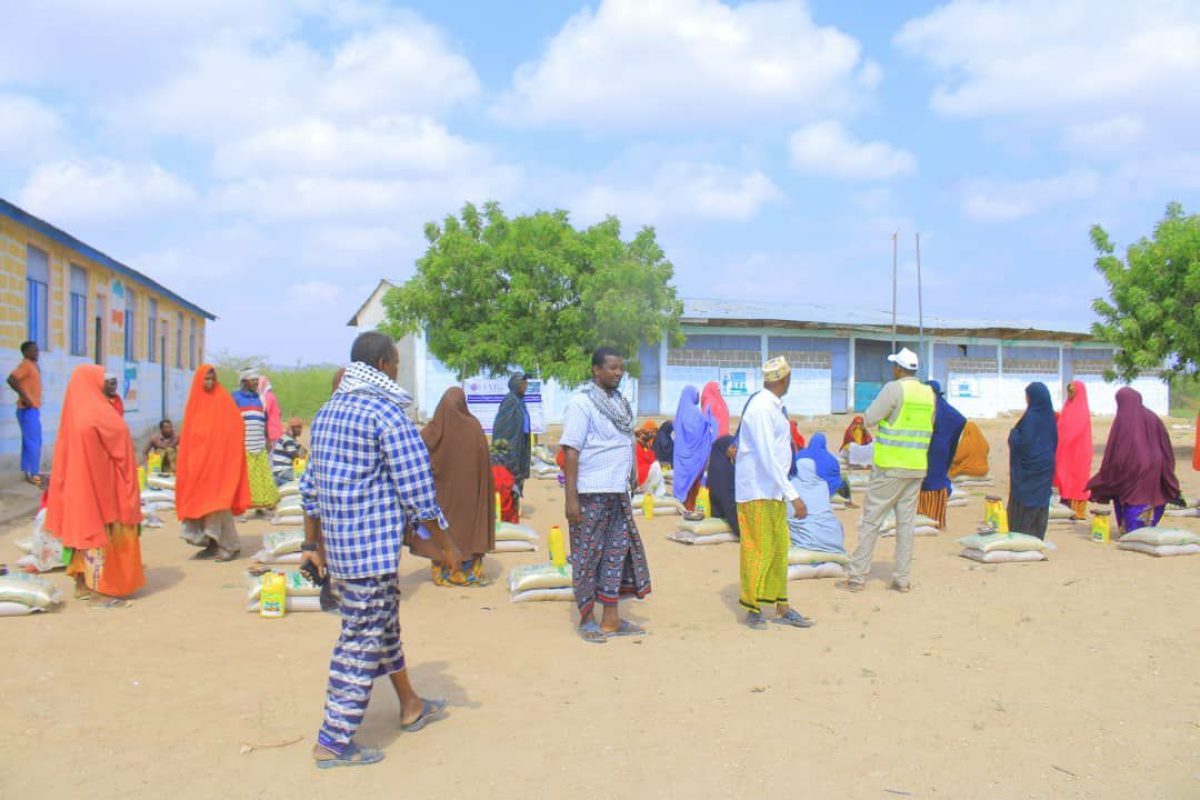 photo_22_2025-01-04_11-12-24