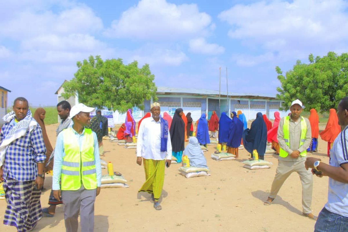 photo_28_2025-01-04_11-12-24