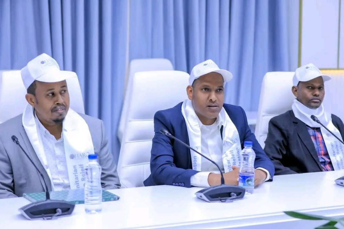 photo_35_2025-01-04_11-11-40