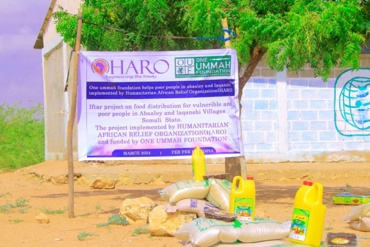 photo_39_2025-01-04_11-12-24