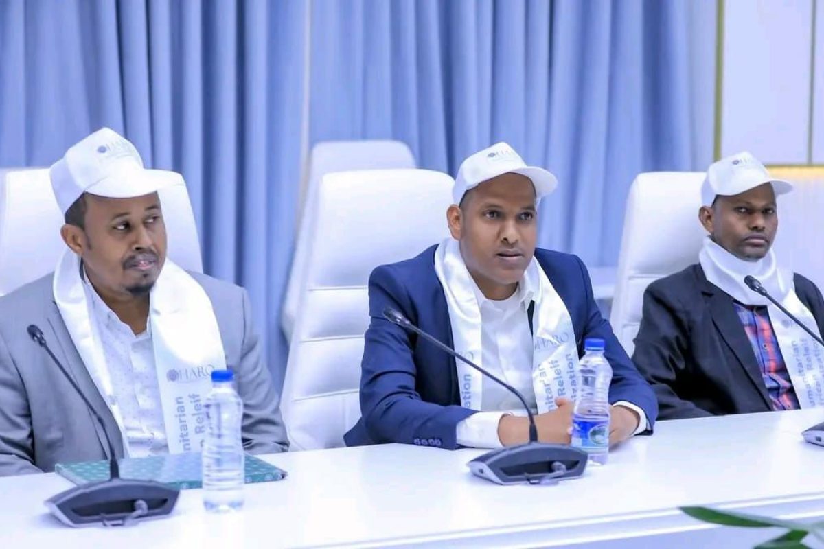 photo_41_2025-01-04_11-11-40