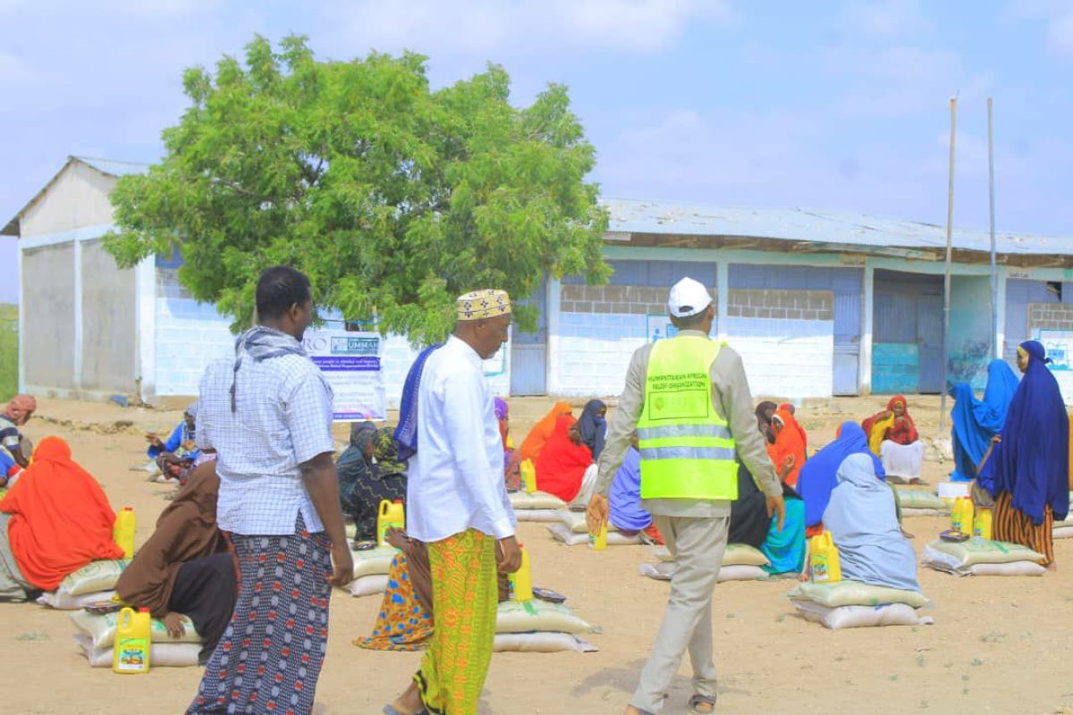 photo_43_2025-01-04_11-12-24