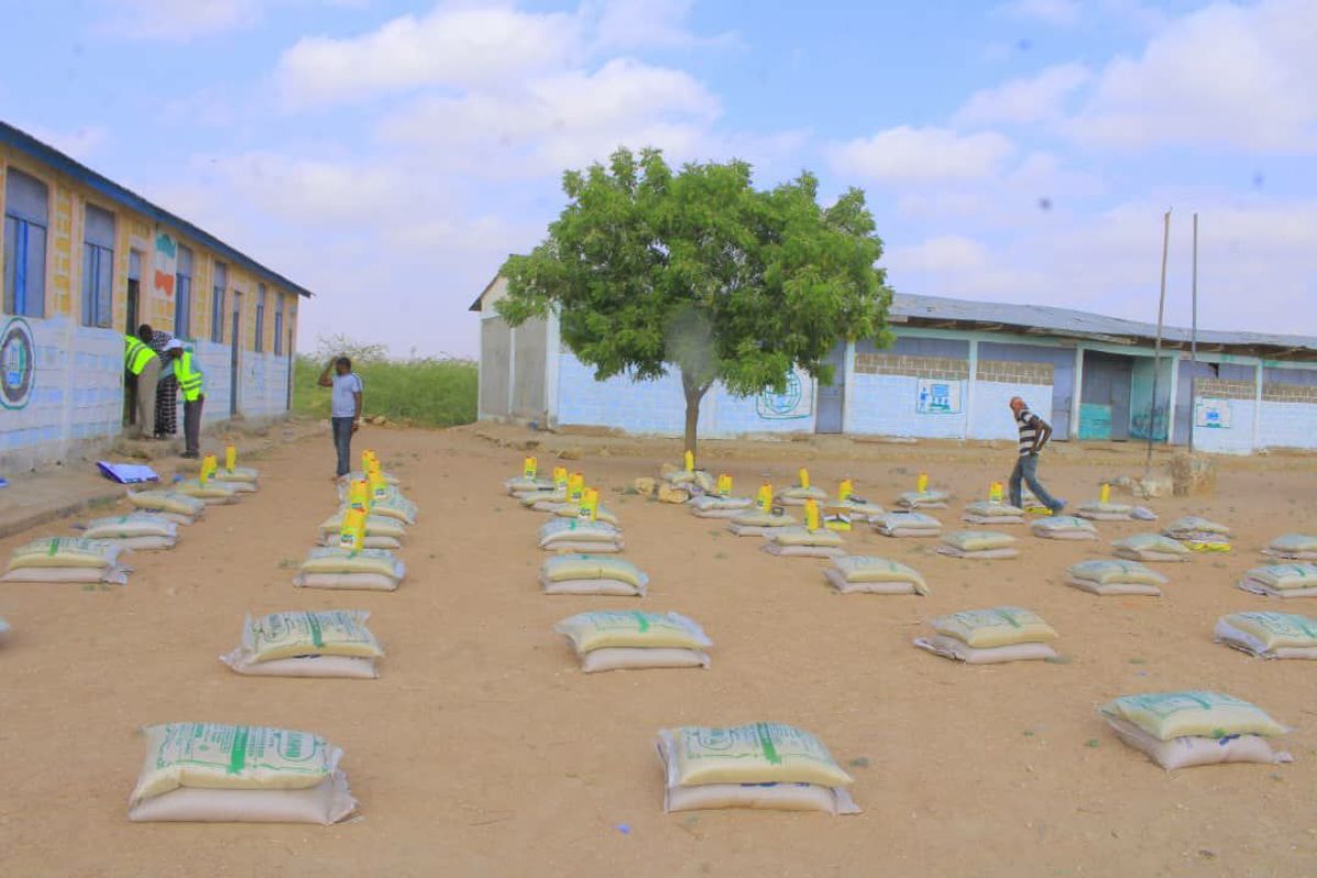 photo_44_2025-01-04_11-12-24