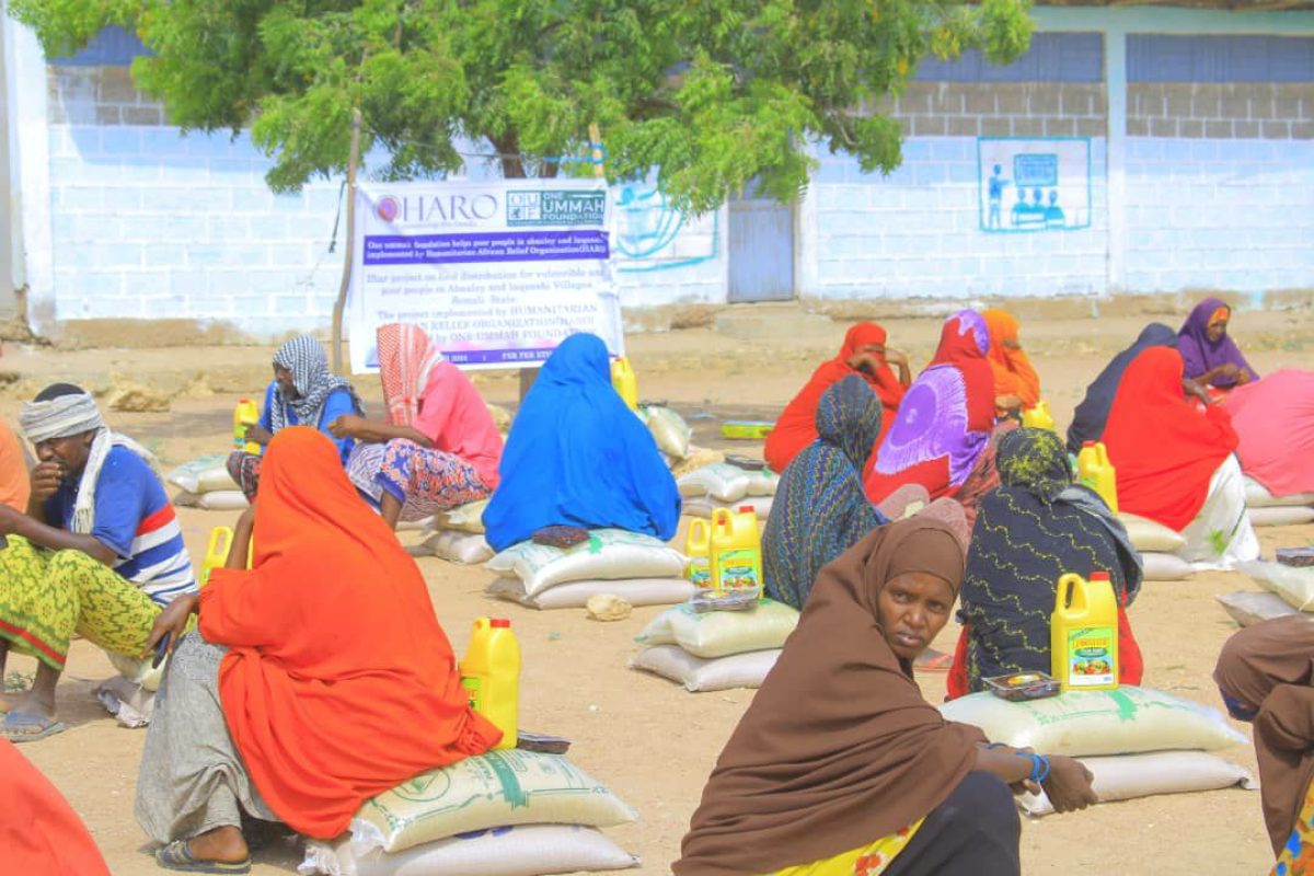 photo_45_2025-01-04_11-12-24