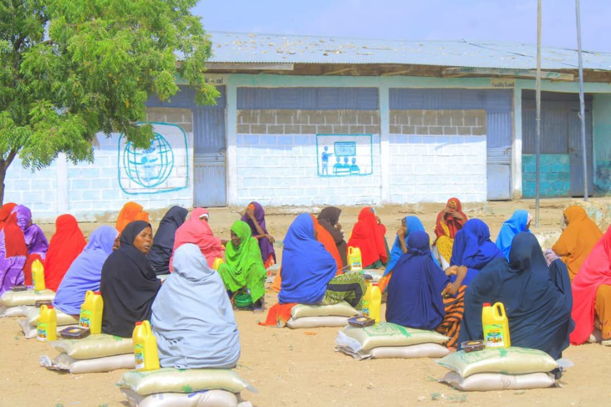 photo_46_2025-01-04_11-12-24