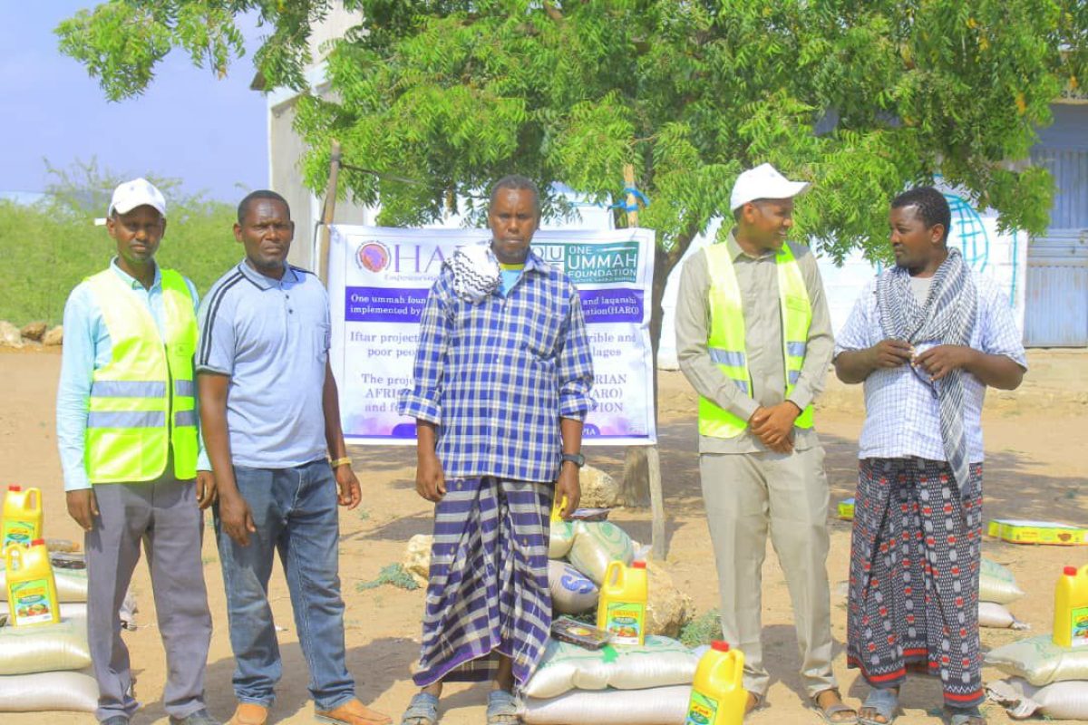 photo_6_2025-01-04_11-11-40