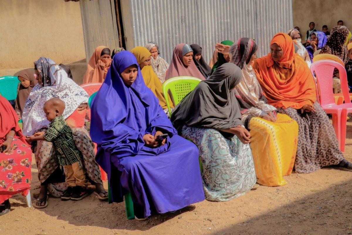 photo_87_2025-01-04_11-11-45