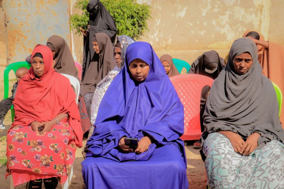 photo_93_2025-01-04_11-11-46